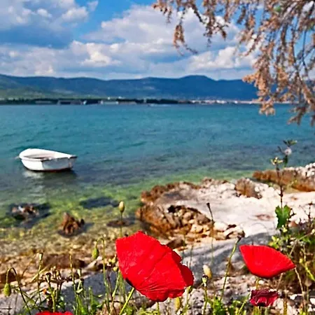 Sveti Kriz 4*
